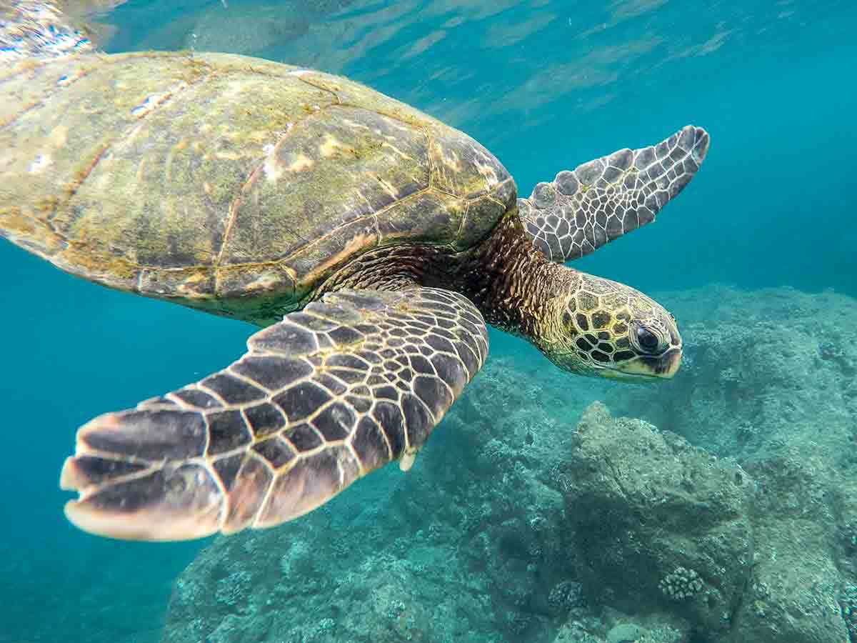 Hamata Islands Marsa Alam