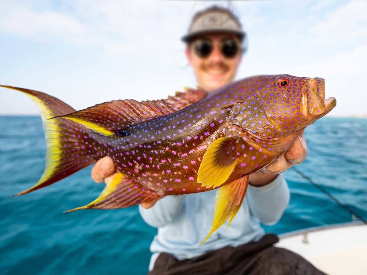 Fishing Trip in Hurghada