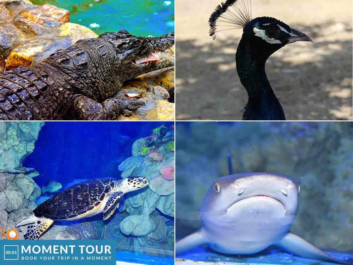 Grand aquarium Hurghada