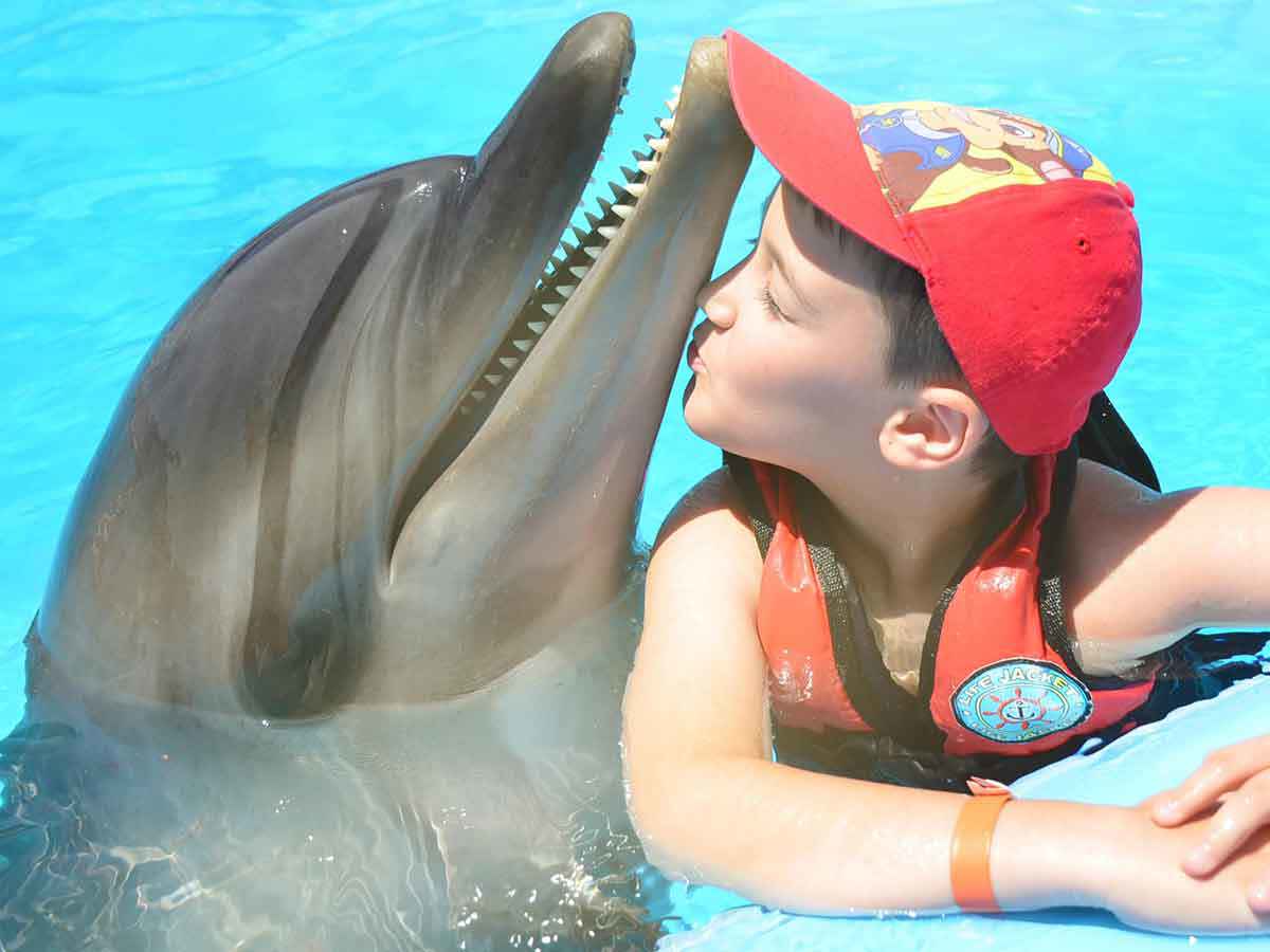 Photo Session With Dolphins
