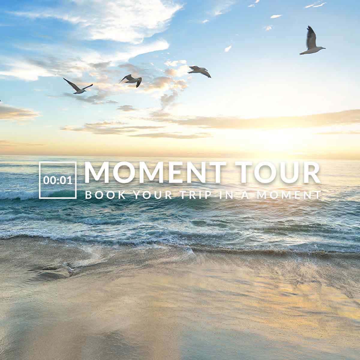Команда - MOMENT TOUR -