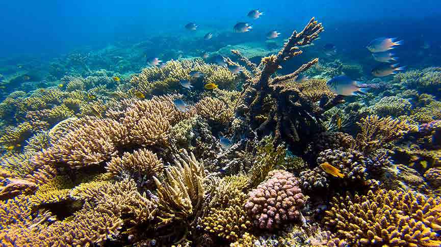 Marsa Alam Red Sea